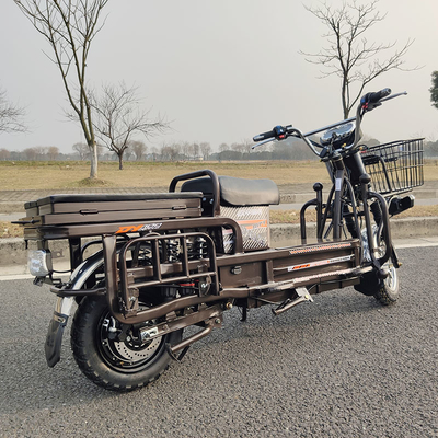 70 km/H 고속도 전기 화물선 오토바이 1500W 2000W 3000W