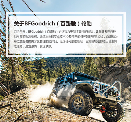 도로 자동차 타이어에서 떨어져 있는 굿리치 부품 시장 자동차 부속품 265/65R17